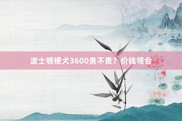 波士顿梗犬3600贵不贵？价钱领会